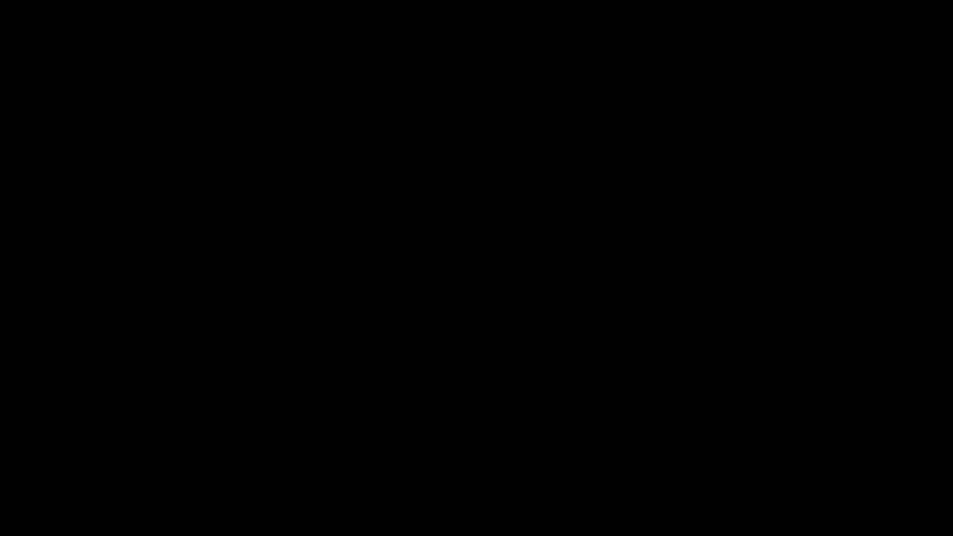 A video demonstrating the MagnoVex